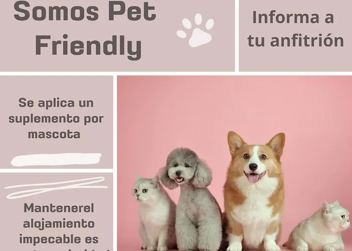 Yellow Door 2 Appartamento Ponferrada